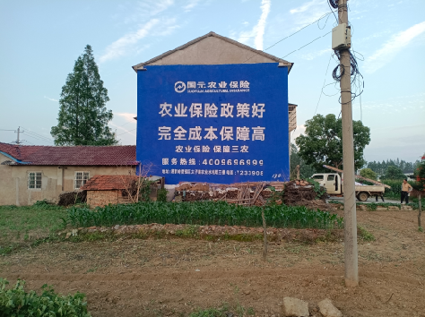 江山墙体广告为何受追捧?